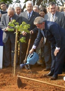 Lula planta árvore em homenagem à Constituinte lula arvore